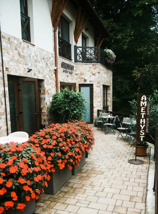 ソバタ Amethyst Bed & Breakfast エクステリア 写真